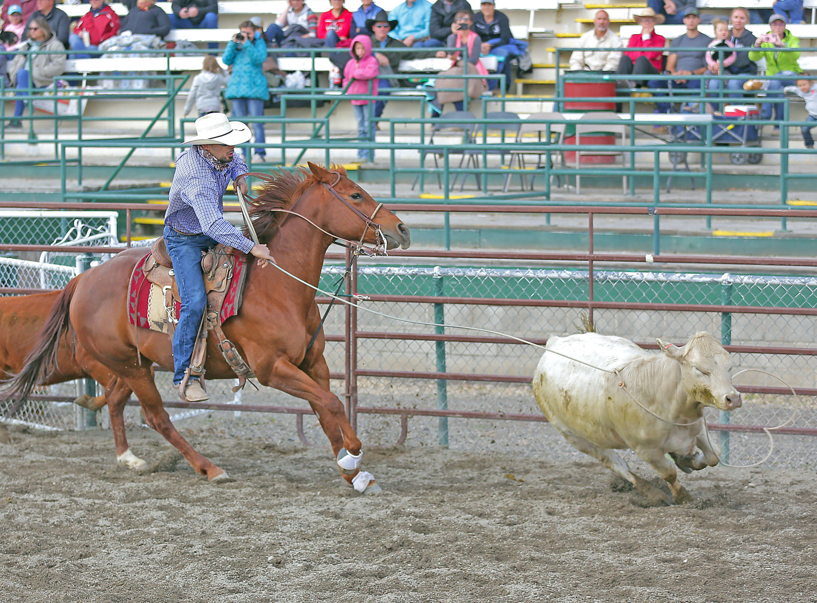 061020-elk-spt-jake-eary-memorial-rodeo-josue-madrigal.jpg